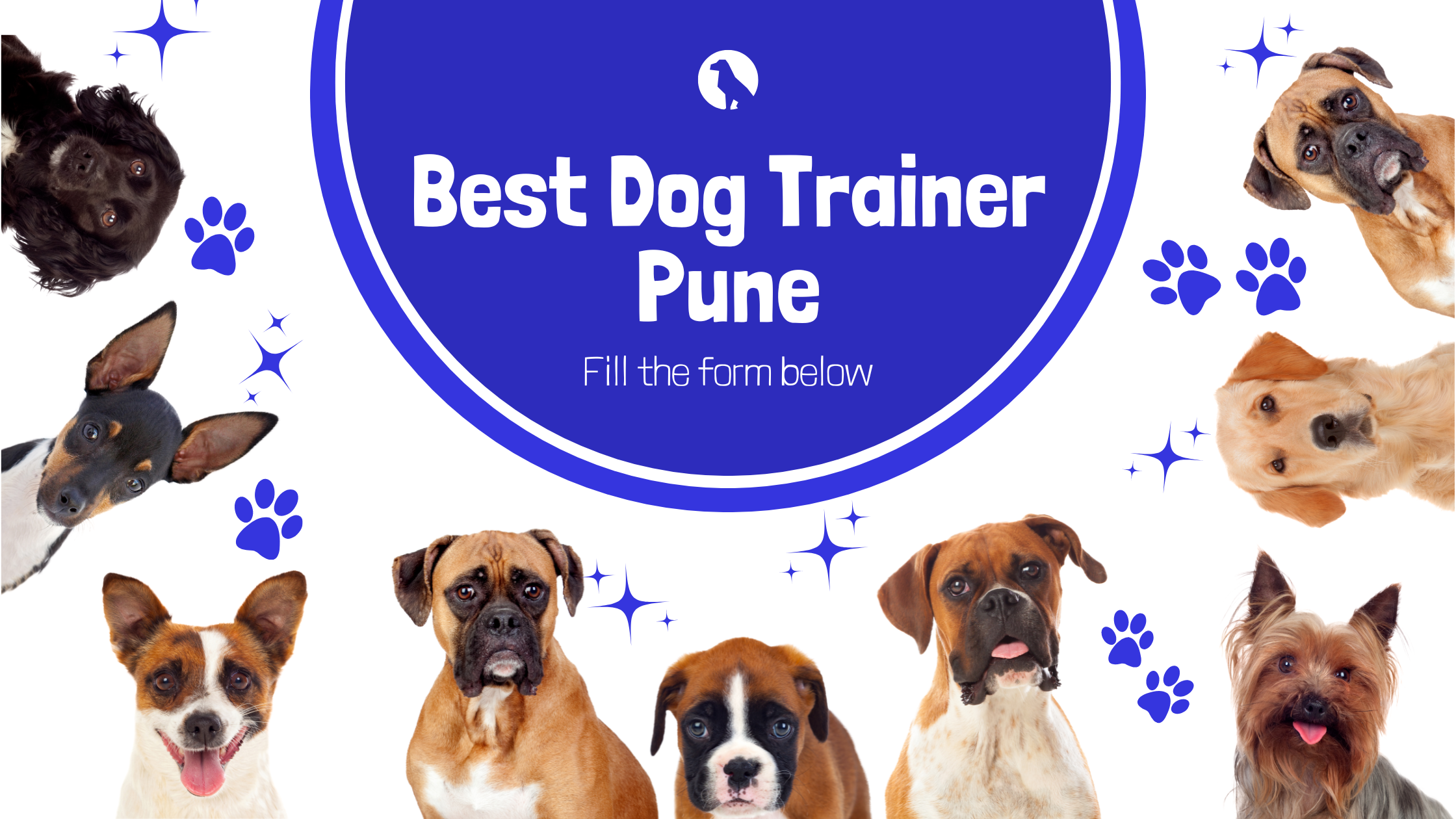 best dog trainer Pune